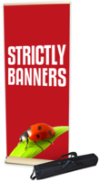Deluxe Rollup Banners