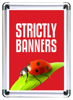 Snap Poster Frames | Professional Poster Printing