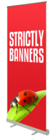 StandardPlus Rollup Banners